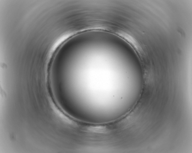 X0000091201135200708091302