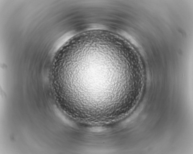 X0000091201137200708091302