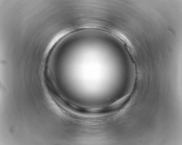 X0000091201138200708091302