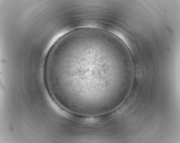 X0000091201139200708091302
