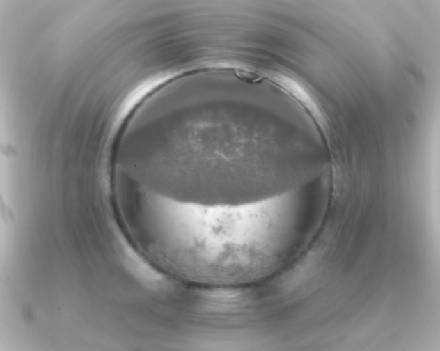 X0000091201141200708091302