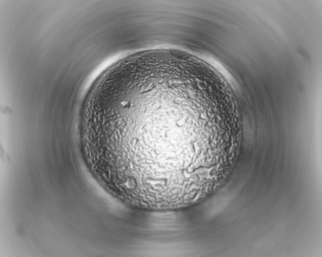 X0000091201142200708091302