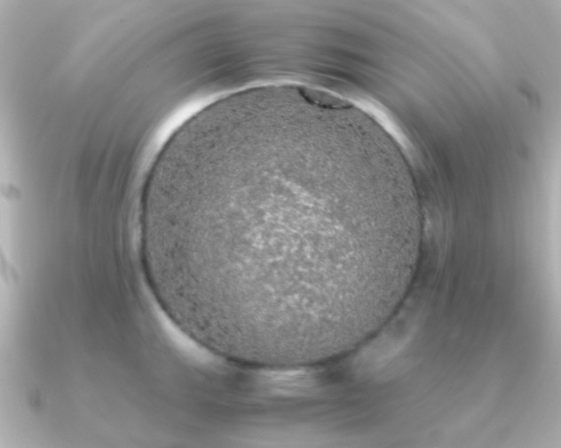 X0000091201143200708091302