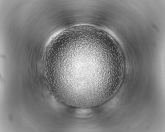 X0000091201145200708091302