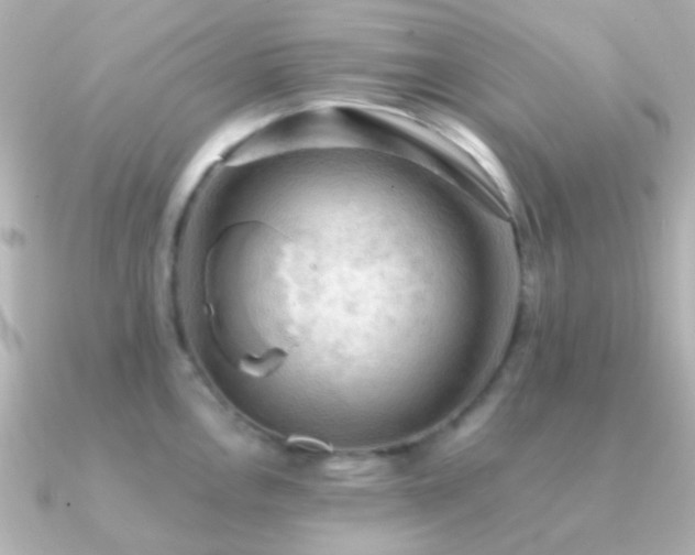 X0000091201146200708091302