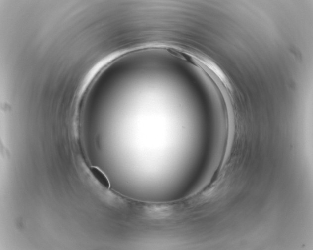 X0000091201148200708091302