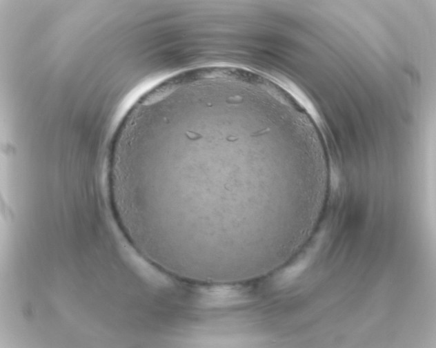 X0000091201149200708091302