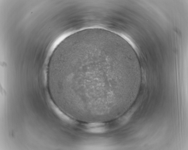 X0000091201151200708091302