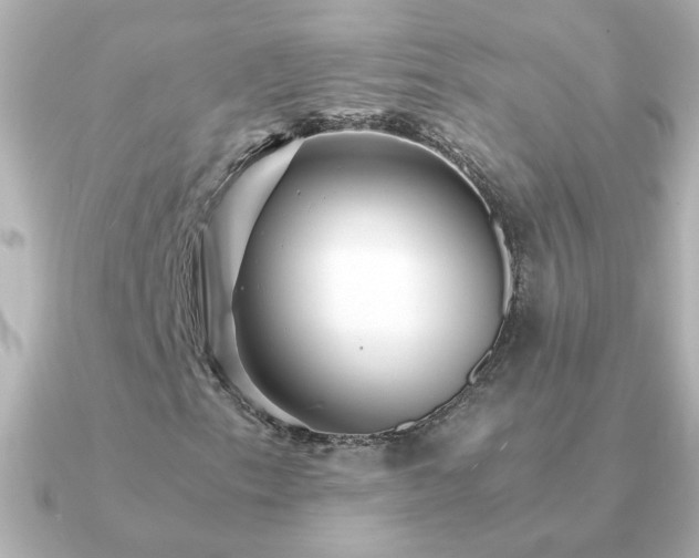 X0000091201153200708091302