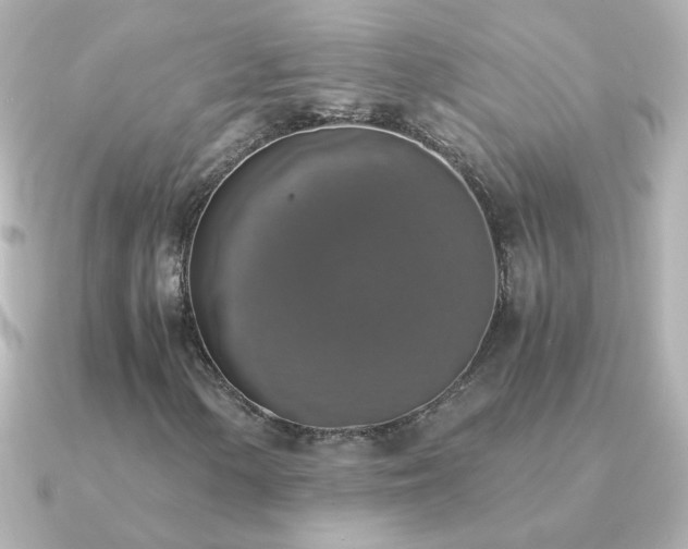 X0000091201154200708091302