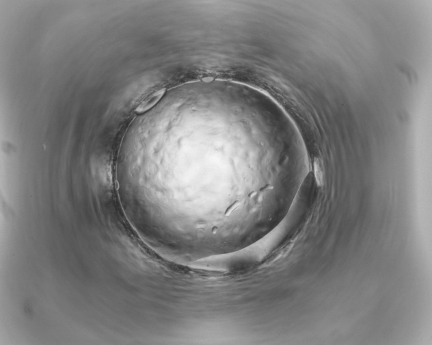 X0000091201155200708091302