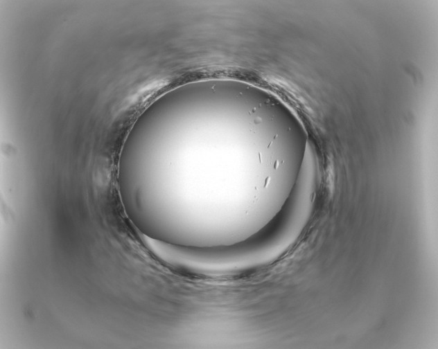 X0000091201157200708091302