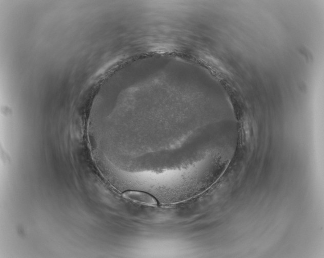 X0000091201158200708091302