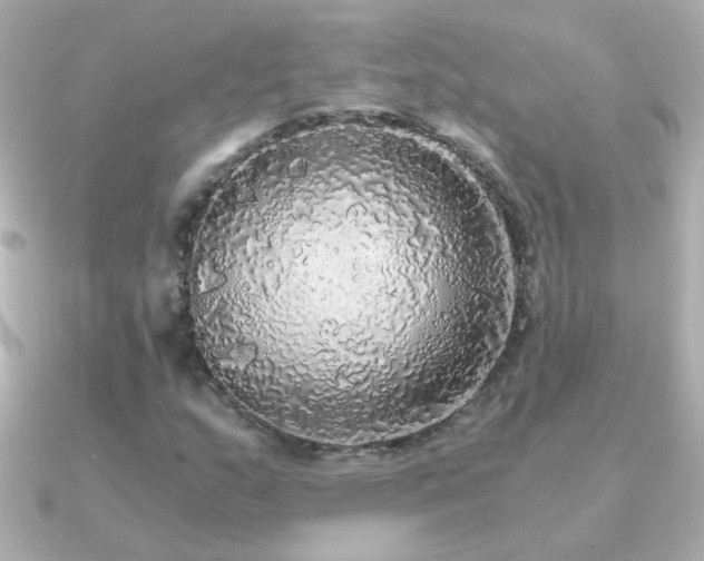 X0000091201159200708091302