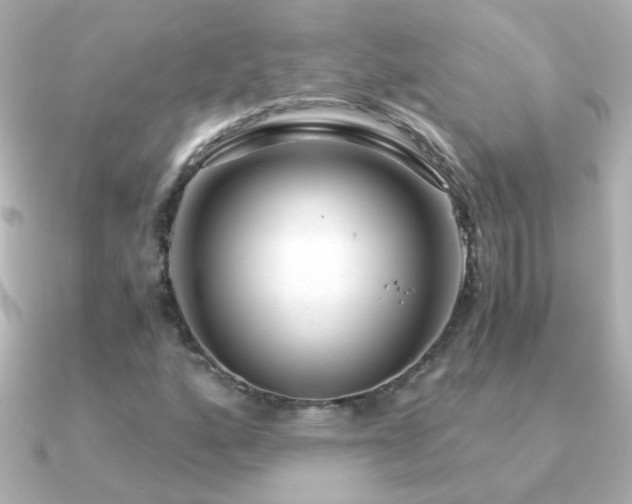 X0000091201160200708091302