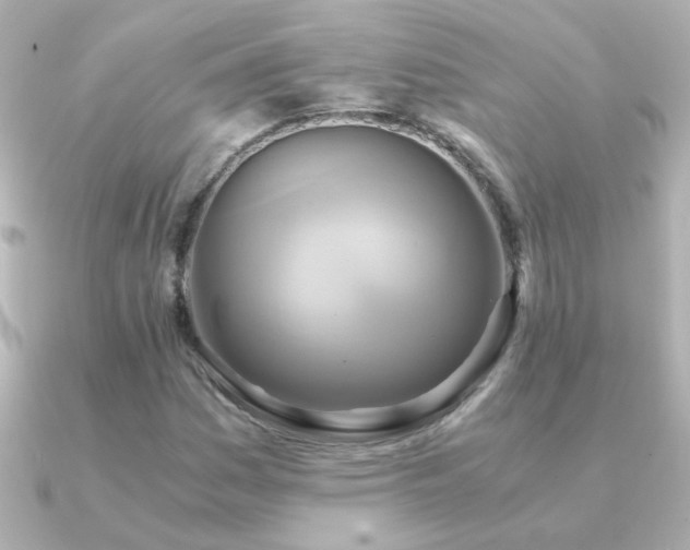 X0000091201161200708091302