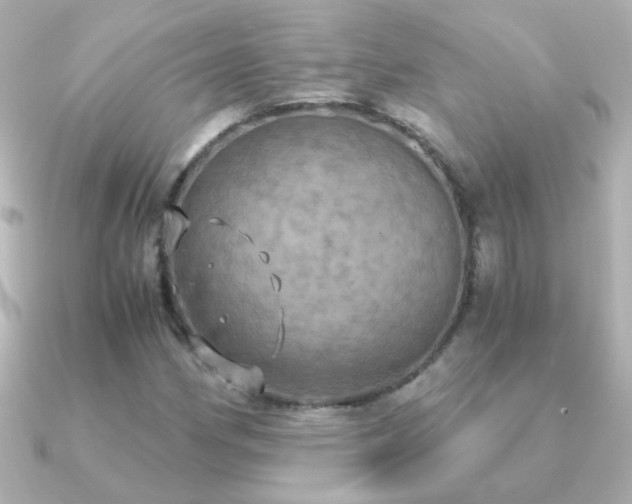 X0000091201162200708091302