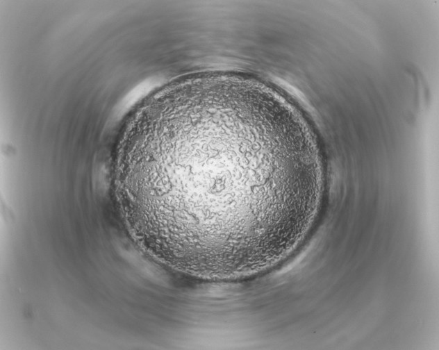 X0000091201163200708091302
