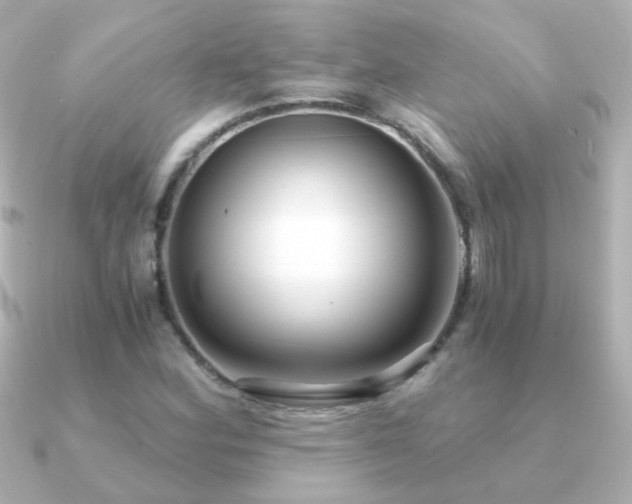 X0000091201164200708091302