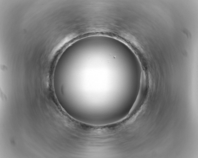X0000091201165200708091302