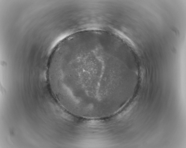 X0000091201166200708091302