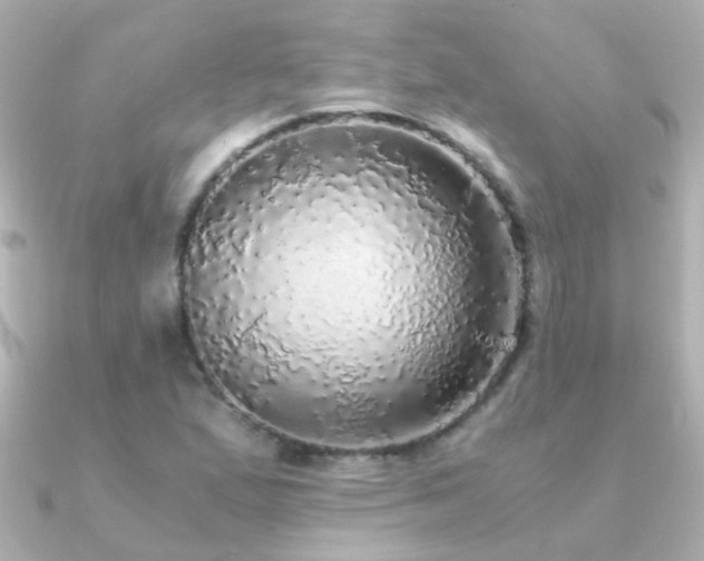 X0000091201167200708091302