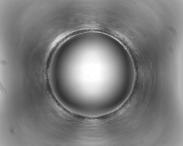 X0000091201168200708091302