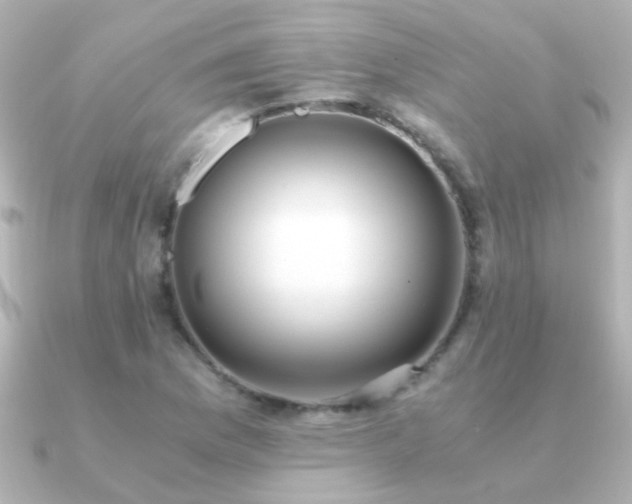 X0000091201169200708091302