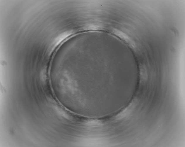 X0000091201170200708091302