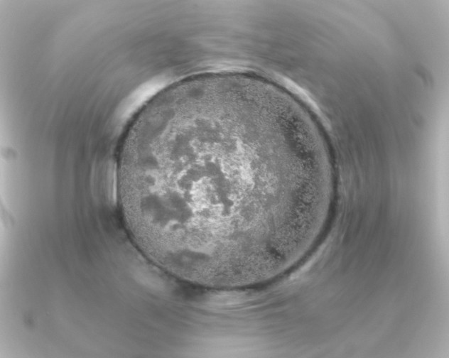 X0000091201171200708091302