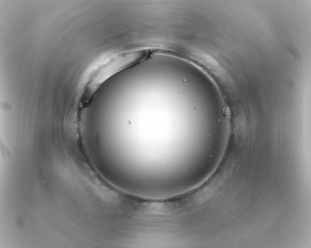 X0000091201172200708091302