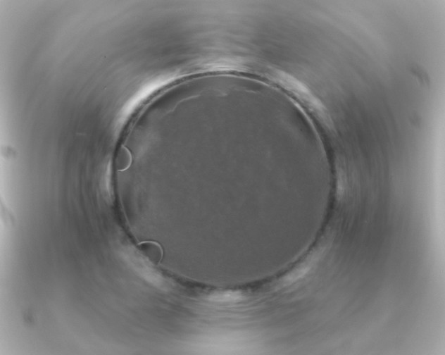 X0000091201174200708091302