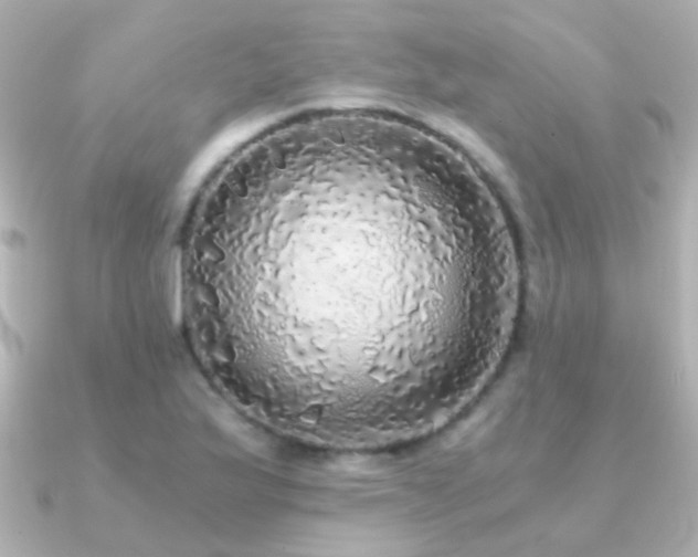 X0000091201175200708091302