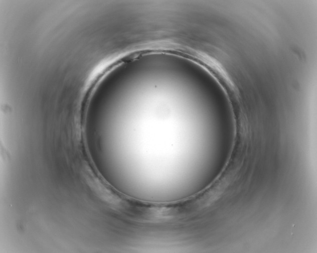 X0000091201176200708091302