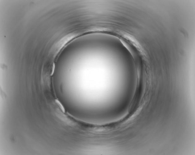 X0000091201177200708091302