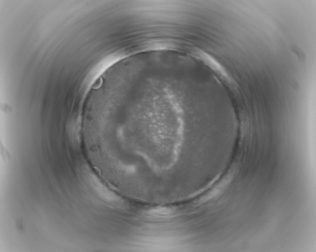 X0000091201178200708091302