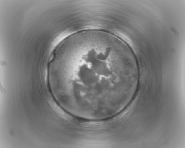 X0000091201179200708091302
