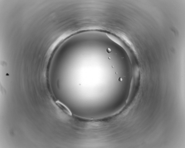 X0000091201181200708091302
