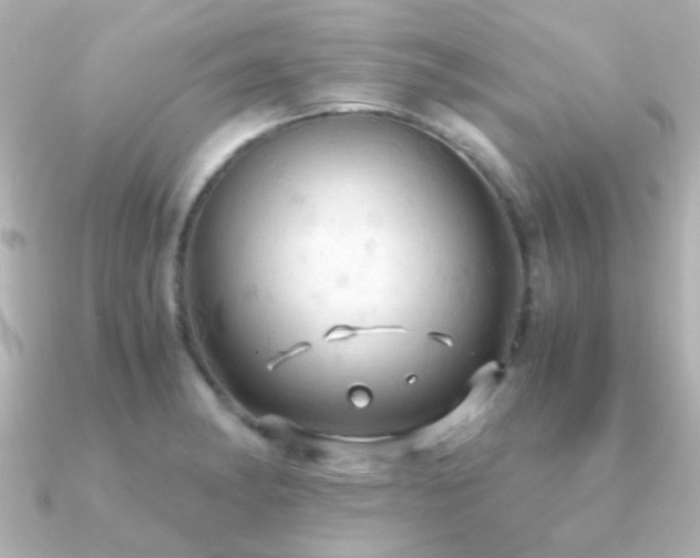 X0000091201182200708091302
