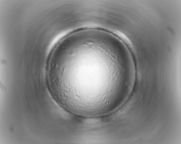 X0000091201183200708091302