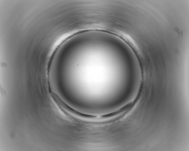 X0000091201184200708091301