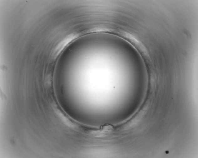 X0000091201185200708091301