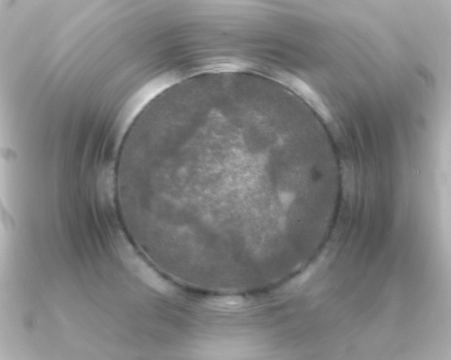 X0000091201186200708091301