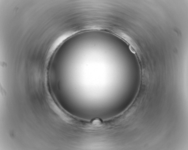 X0000091201187200708091301