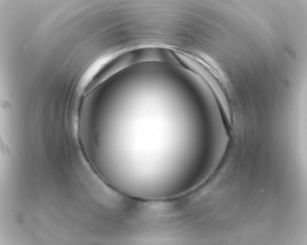 X0000091201188200708091301