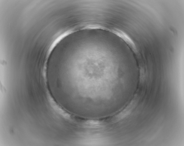 X0000091201190200708091301