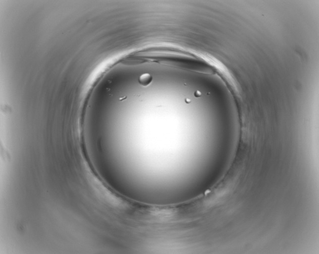 X0000091201191200708091301
