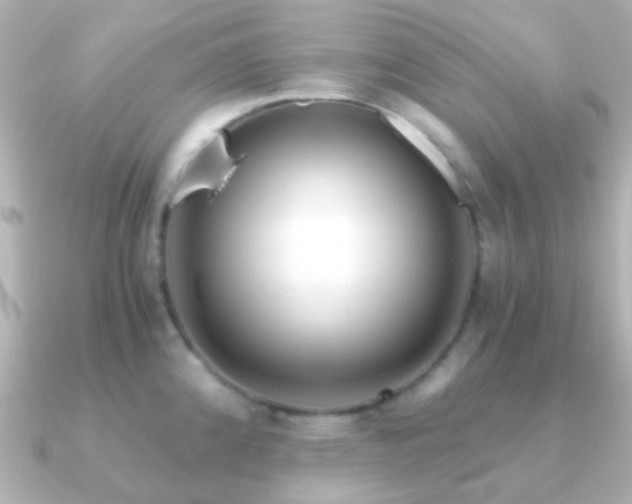 X0000091201192200708091301