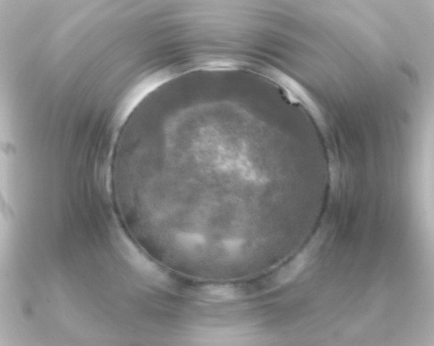 X0000091201194200708091301