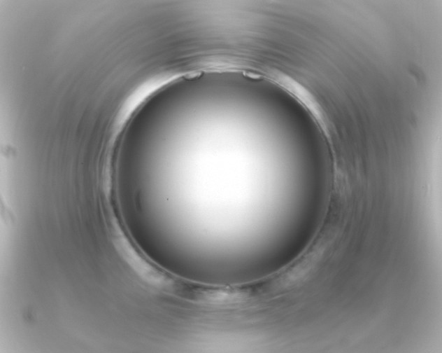 X0000091201195200708091301
